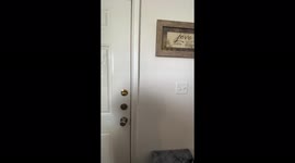 Sticking stuff to the wall with magic friction.