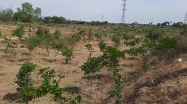 A group of kind hearted boys installs  DIY bird feeders and water cans to provide the birds with food and water during this hot weather in South India.
