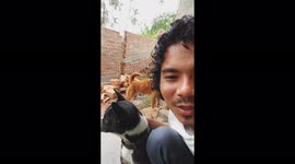 how to teach your dog to attack total strangers when they sneak into your property