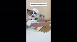 Meet the CAT CHEF who has shot to fame with 25 MILLION followers on TikTok making sushi, cocktails and ‘Michelin-style’ meals Part Four