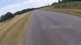 Speeding Mercedes pulled over in Richmond Park (20mph speed limit)