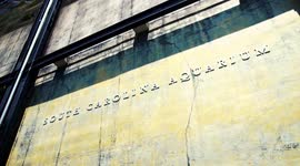 Keeping Alligators On Their Toes Is So Important For These Handlers