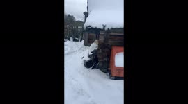 The cat fell into the toilet in the village