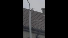 House break in caught on camera