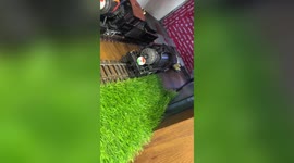 Restaurant uses miniature trains as servers in western India