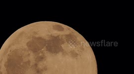 Stunning close-up of the full 'Pink Moon' rising in Kent, UK