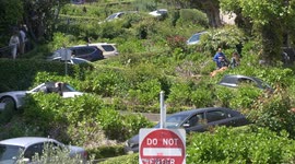 Tourists throng to ‘bendiest street in the world’ 100 years after it was constructed in San Francisco, USA