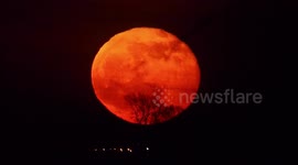 Stunning full 'Pink Moon' seen rising with an orange hue in Kent, UK