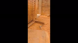 A hen chasing a human being because of a chick