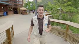 Health and Wellness! Coming Up With Creative Ways to Give Animals Medicine