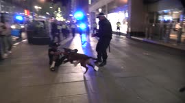 Bystander mauled by police dog during 4/20 protests in London