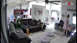 'Curious toddler 'disappears' into the gap in the couch *Mom's reaction is GOLD!*'