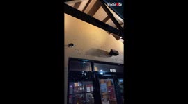 'Smashed windows, totaled cars, and damaged walls left in the wake of destructive hailstorm in Norman, Oklahoma '