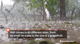 What determines hail size?