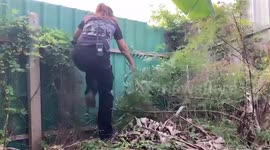 Woman calmly catches large wild monitor lizard and rides a motorcycle with it