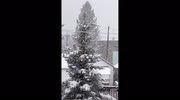 temp