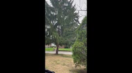 The song for your soul