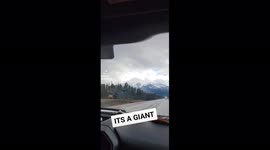 THERE IS A GIANT IN THE MOUNTAIN