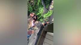 Bird rescued after slipping into hollow metal girder in Thailand