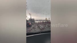 Thousands of rubber tree seeds fall onto road in Thailand