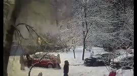 A tree fell on an 11-year-old girl in Moscow