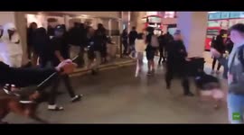 Police dogs maul 4:20 protester