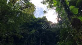 Trail with river walkway in the middle of nature in Brazil.
