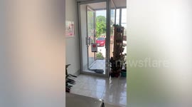 Terrified shopkeeper finds two huge monitor lizards trying to break into building