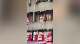 Spoiled stray cat has food and drinks delivered to it via rope