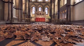 Rochester Cathedral carpeted in 5,000 metal leaves for art installation in Kent, UK