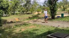 Do you know that when the cats tail has raised it's fur is the sign of being scared?