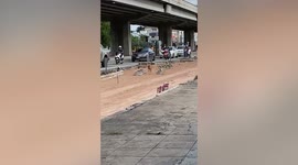 Dramatic pet dog pretends to be injured to seek attention