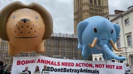 Protest calling for a ban on trophy hunting held outside UK Parliament