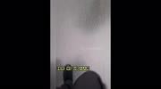 temp