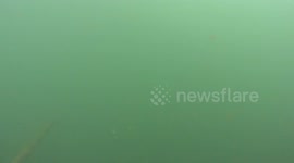 Divers search sunken cars after bridge collapsed killing four in the Philippines