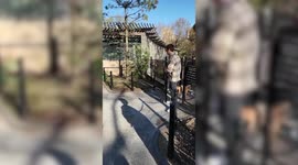 Queer Eye star Antoni Porowski was spotted leaving NYC park with boyfriend Kevin Harrington