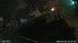 Entities/Creatures congregating/fighting