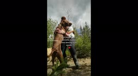Dog and his walker share a cute moment slowdancing in the forest