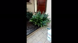 A beautiful landscaping I ever loved