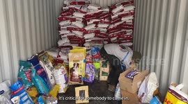 Meet the volunteers who risk their lives to rescue pets from war-torn Ukraine - more than 550 so far