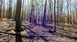 Brush fire - Mountain Road, Overlook, Ralpho township, Pa