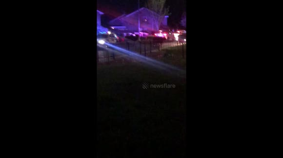 Cows on the loose in Yate and chipping Sodbury, stop and gather by local pub smell the kebab shop and flee! Also smashing into a police car.. 8 police cars couldn’t stop them.