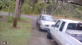 Tree Limb Falls On Truck Then Breaks Side Glass Out Of A Convertible And Smashes The Door And Roof