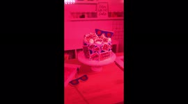 IS IT CAKE?: Self-taught baker leaves social media users in awe with creations – can you tell which are cake? Part Three