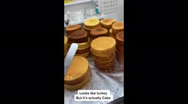 IS IT CAKE?: Self-taught baker leaves social media users in awe with creations – can you tell which are cake? Part Four