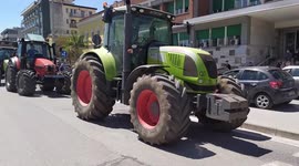 Buffalo Breeders Protest in Caserta, Italy