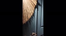 Disabled woman, 42, who uses wheelchair gave her home a complete makeover while dealing with rare bone illness – adding £70,000 to house value Part Three