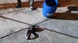 Animal rescuers separate python and cobra tangled up with each other