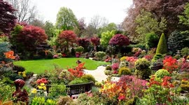 Couple who created Britain's best garden are celebrating 40 years tending to their 