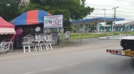 Truck carries potted giant cacti for delivery